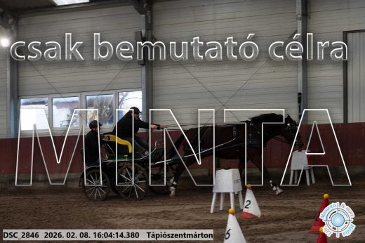 Mintakép 20260208-838