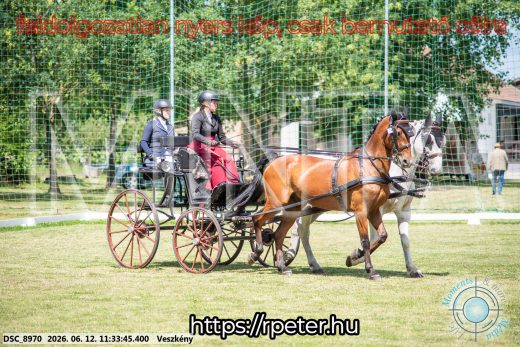 Mintakép 20260612-276
