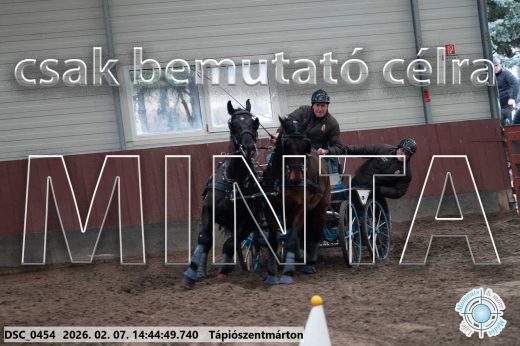 20260207-144449-DSC_0454.jpg