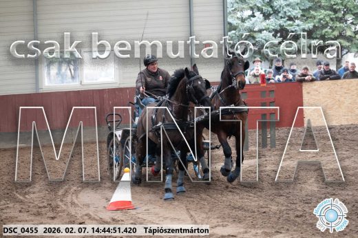 20260207-144451-DSC_0455.jpg