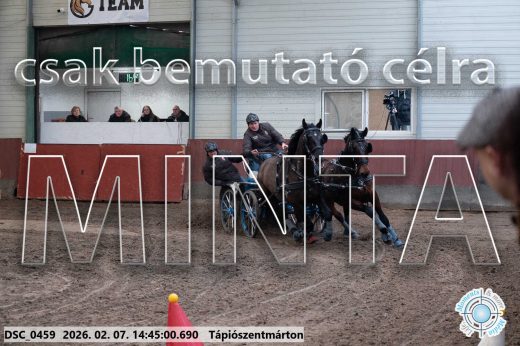 Mintakép 20260207-516