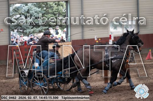 Mintakép 20260207-517