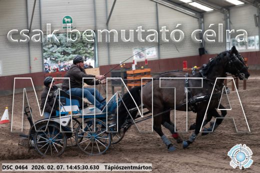 Mintakép 20260207-519