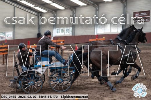 Mintakép 20260207-520