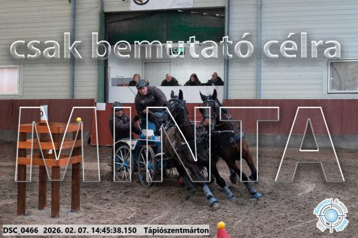 Mintakép 20260207-521
