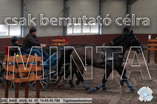 Mintakép 20260207-523