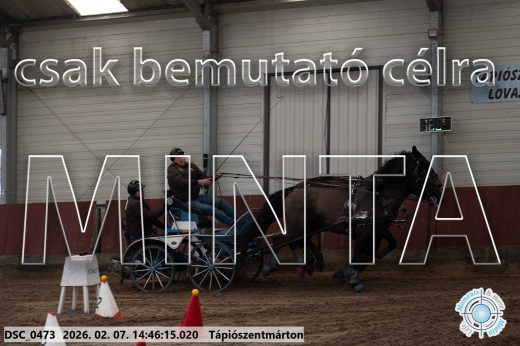 Mintakép 20260207-526