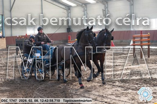 Mintakép 20260208-840