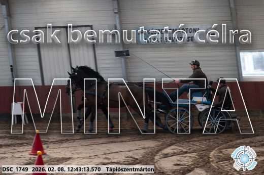 Mintakép 20260208-842