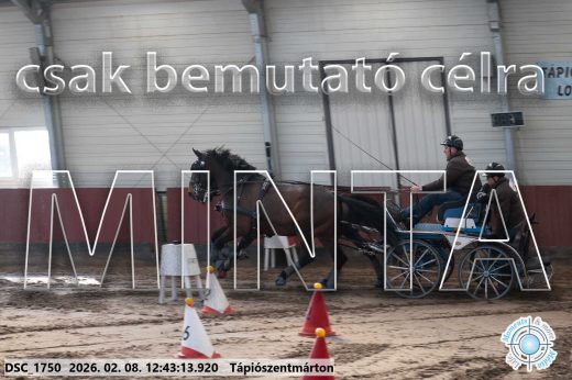Mintakép 20260208-843