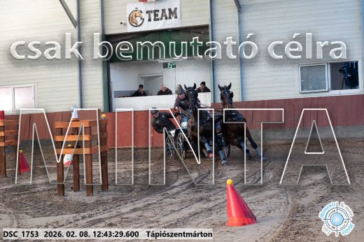 Mintakép 20260208-846