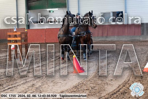Mintakép 20260208-848