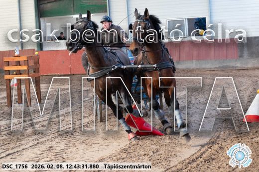 Mintakép 20260208-849