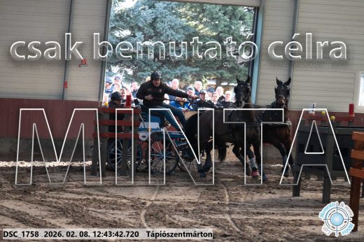 Mintakép 20260208-850