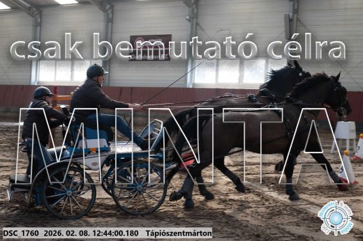 Mintakép 20260208-852