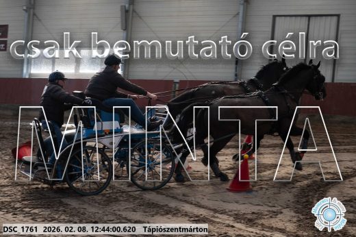 Mintakép 20260208-853