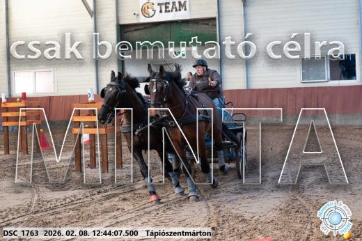 Mintakép 20260208-855