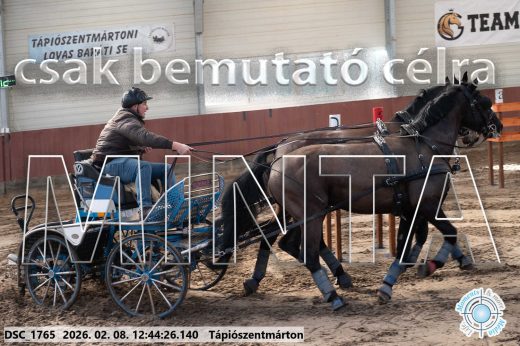 Mintakép 20260208-857