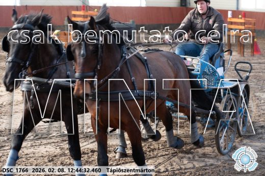 Mintakép 20260208-858