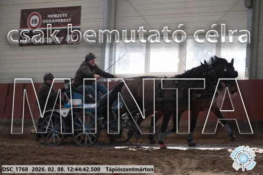 Mintakép 20260208-859