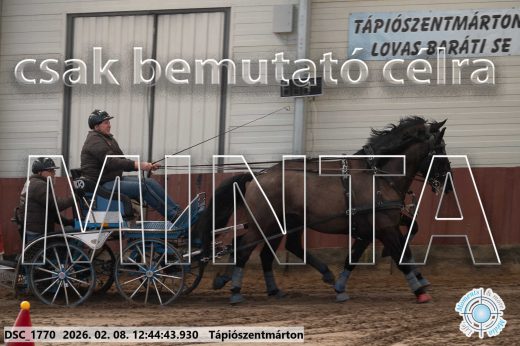 Mintakép 20260208-861