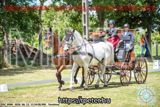 Mintakép 20260612-280
