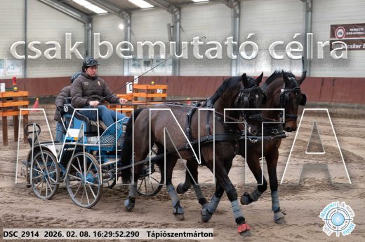 Mintakép 20260208-864