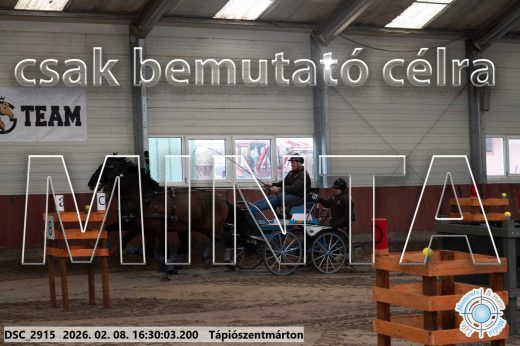 Mintakép 20260208-865