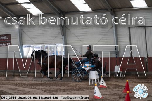 Mintakép 20260208-866