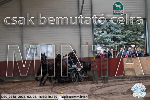 Mintakép 20260208-868