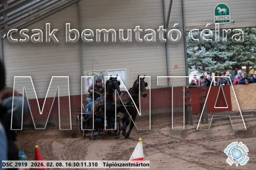 Mintakép 20260208-869