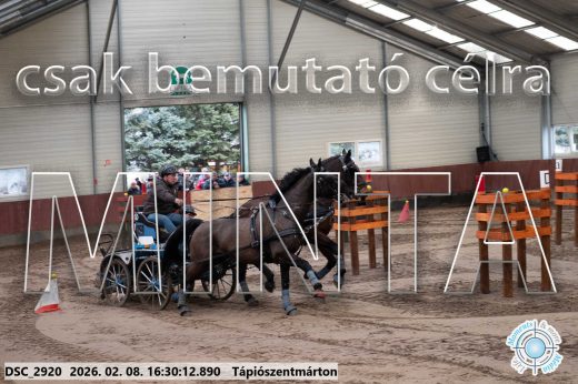 Mintakép 20260208-870