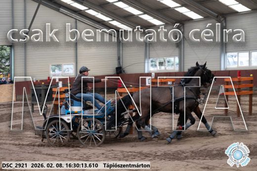 Mintakép 20260208-871