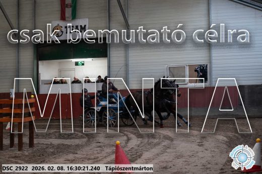 Mintakép 20260208-872