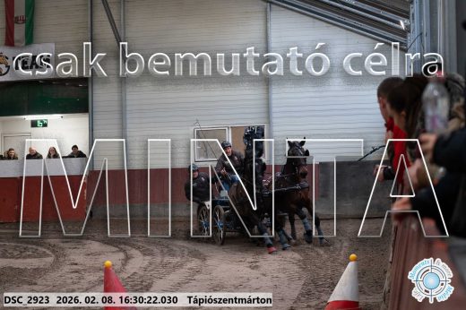 Mintakép 20260208-873