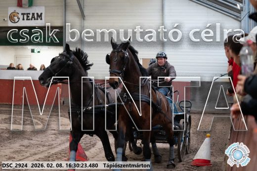 Mintakép 20260208-874