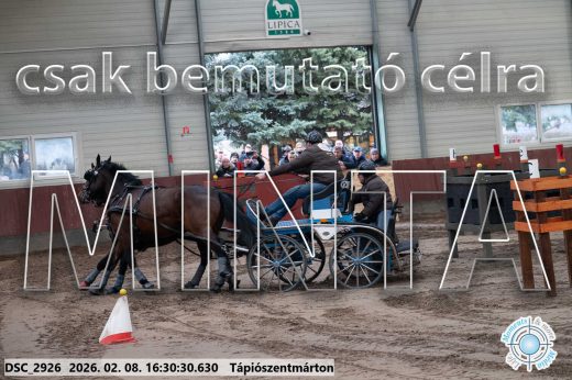 Mintakép 20260208-875