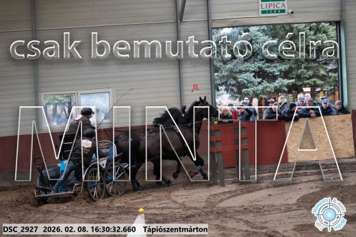 Mintakép 20260208-876