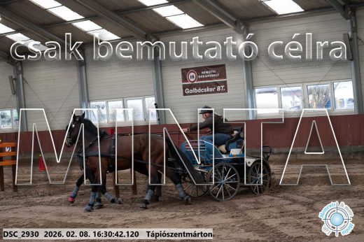 Mintakép 20260208-879