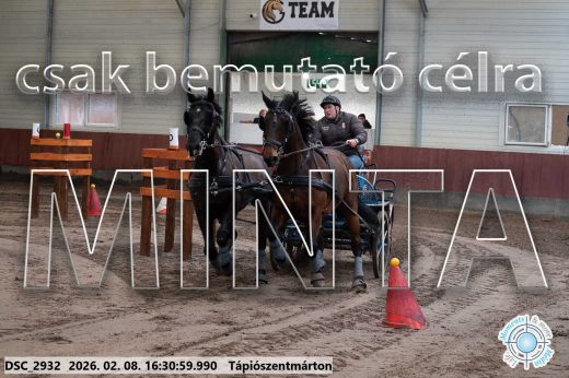 Mintakép 20260208-881