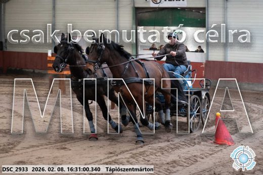 Mintakép 20260208-882