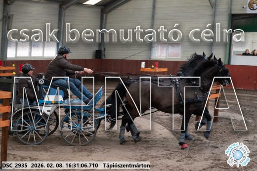 Mintakép 20260208-884