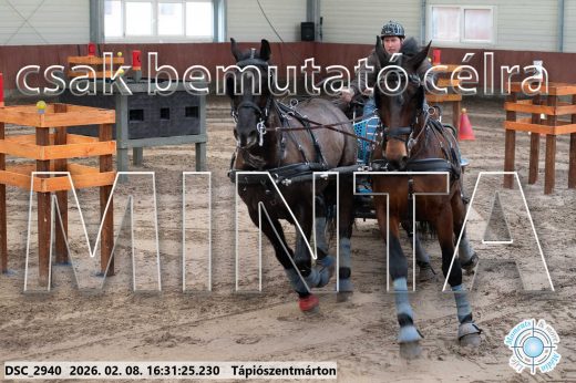 Mintakép 20260208-889