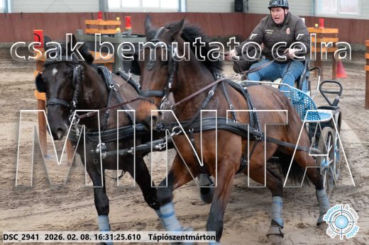 Mintakép 20260208-890
