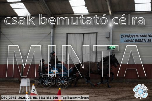 Mintakép 20260208-894