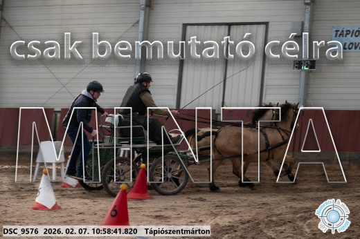 Mintakép 20260207-532