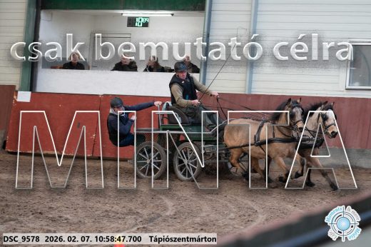 Mintakép 20260207-534