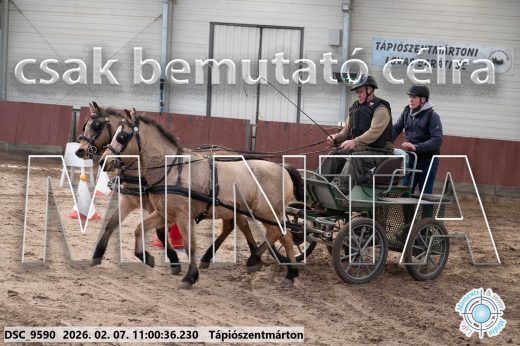 Mintakép 20260207-541
