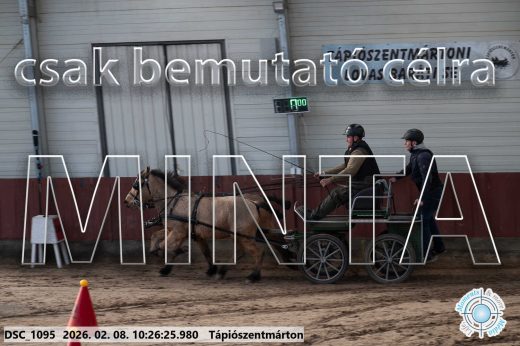 Mintakép 20260208-895