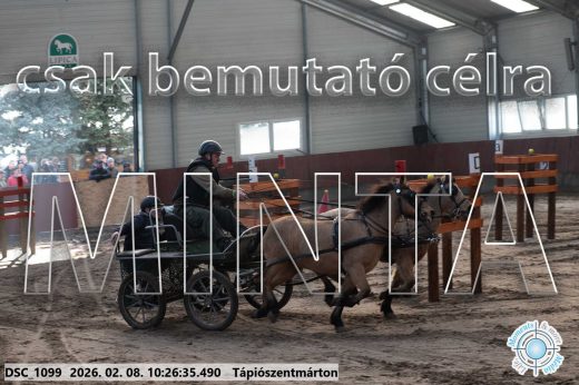 Mintakép 20260208-898